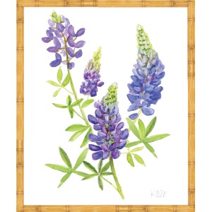 KS- BLUE BONNET 2